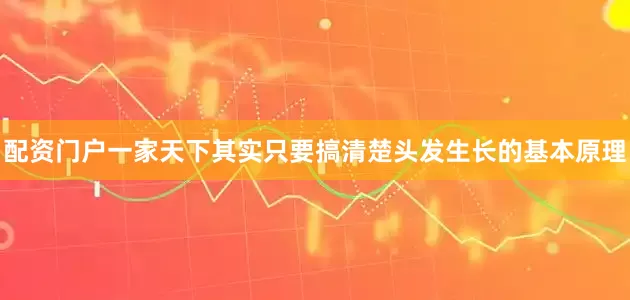 配资门户一家天下其实只要搞清楚头发生长的基本原理